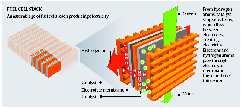 FUEL CELL STACK 
An offtel cells, each prcxlucingelectricity 
Ca talyst 
Electrolyte mem brane 
Catalyst 
From 
atoms, catalyst 
stripselectrons, 
which t]cwv 
between 
electrodes, 
creating 
electricity. 
Electronsa1Kl 
hydrogen atoms 
pass through 
electrolyte 
m em bra 1k, 
tie n combine 
into water. 
Water 