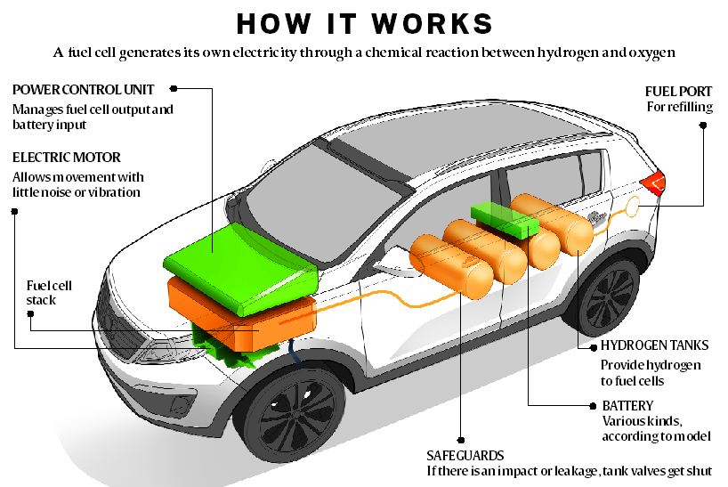 HOW IT WORKS 
A mel cell generates its own electric ity through a chemical reaction between hydrogen and oxygen 
CONTROL UNIT 
fuel cell output am-I 
ba ttery inp ut 
ELECTRIC MOTOR 
All Ows m mement with 
littlenoise or vibration 
Ftelcell 
stack 
FUEL PORT 
For refilling 
HYDROGEN TANKS 
Provide 
to fuel cells 
BATTERY 
Various kilKls, 
according tom crlel 
SAFEGUARDS 
Ifthere is an impact or , tank vali,es shut 