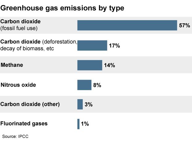 Infographic, BBC