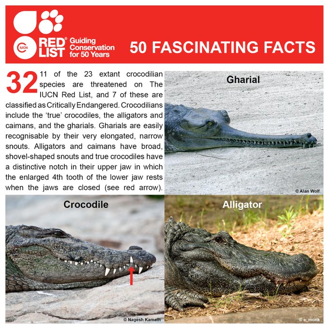 IUCN Facts Alligator Crocodile Gharial Legacy IAS Academy Best IAS Academy in Bangalore