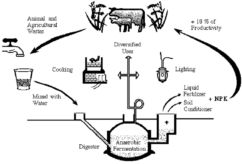 Biomethanation
Animal and 
Agricultural 
Wastes 
Cooking 
Mixed With 
Water 
+10%0f 
Productivity 
Lighting 
Liquid 
Fertilizer 
+ NPK 
Conditioner 
Diversified 
Uses 
AliaerSbic 
Fermentation 
Digester 