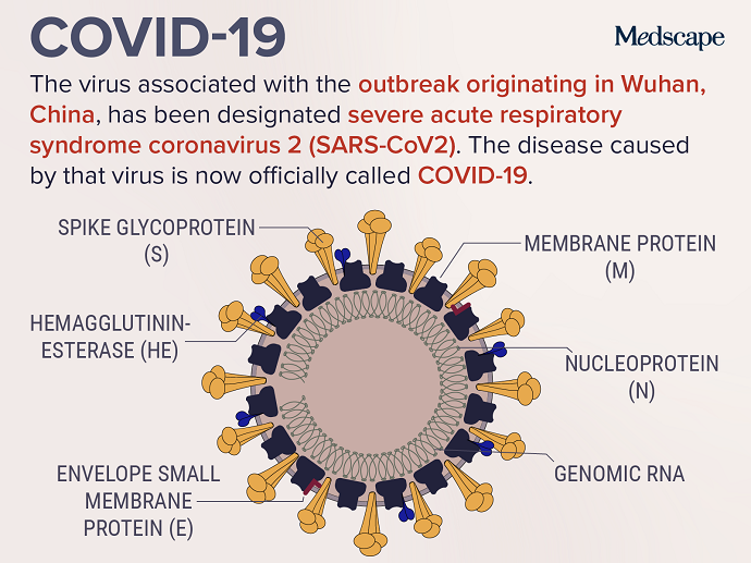 Coronavirus SARS-CoV2 Severe Acute Respiratory Syndrome Disease COVID-19