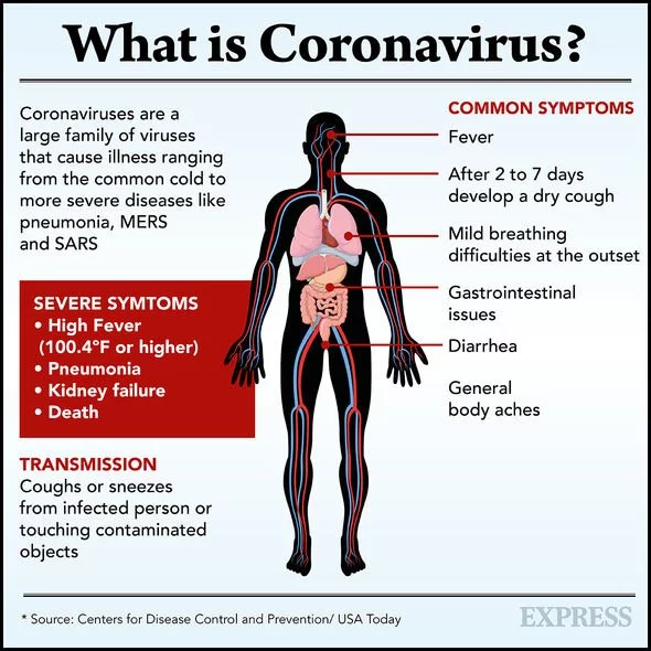 What is Coronavirus Coronavirus Common Symptoms Transmission 