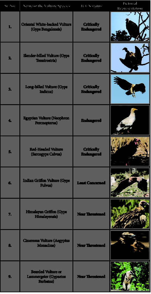 Nine species of Vulture upsc