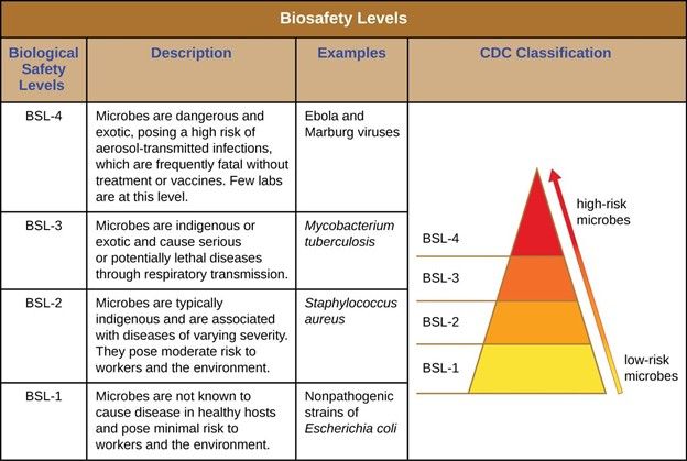 BSL Autoclaves for Biosafety Sterilization | Biosafety level, Bsl ...