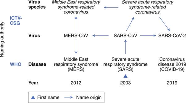 The species Severe acute respiratory syndrome-related coronavirus ...