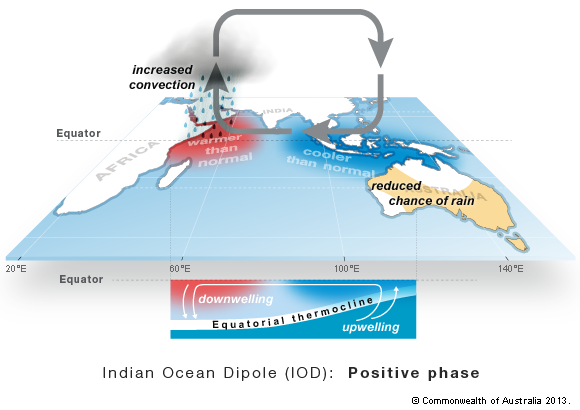 Unusually strong positive Indian Ocean Dipole (IOD) event develops ...