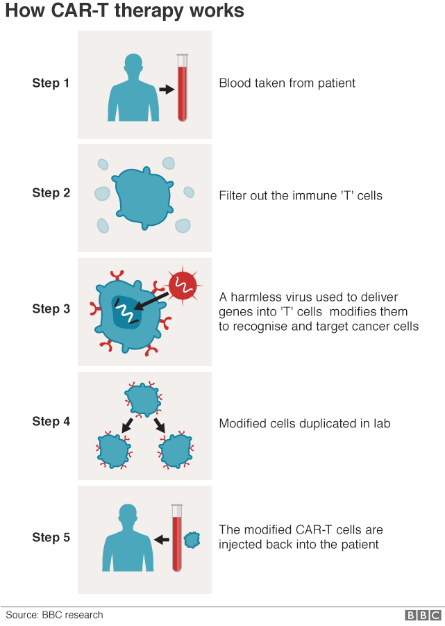 BIOTECHNOLOGY TOPICS FOR UPSC  |  CURRENT AFFAIRS how CAR-T Therapy works 