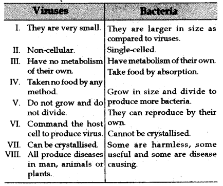 Differences between Viruses and Bacteria 