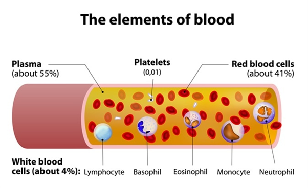 Components of Blood Plasma Therapy for Corona/Covid-19 for UPSC Exam Plasma makes about 55% of total blood  composition