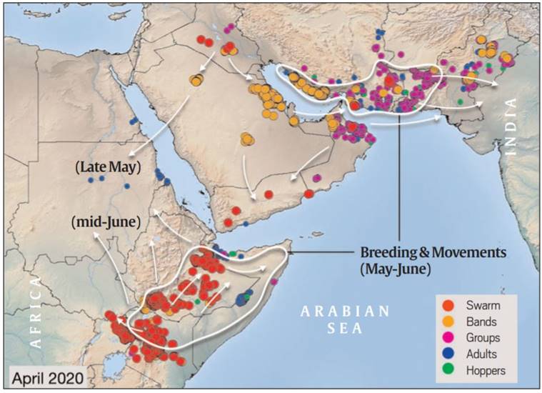 Sighting of the Locusts Spread