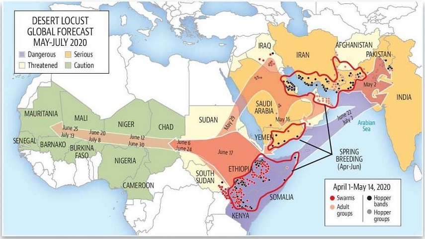 Path of Locust Swarms Towards India