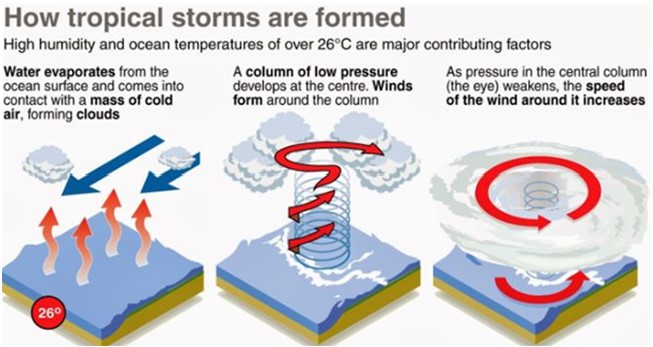 How are Tropical Cyclones ot Storms Formed 