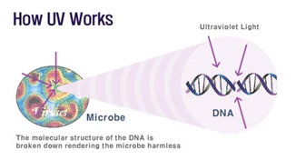 How UV Works in Disinfection