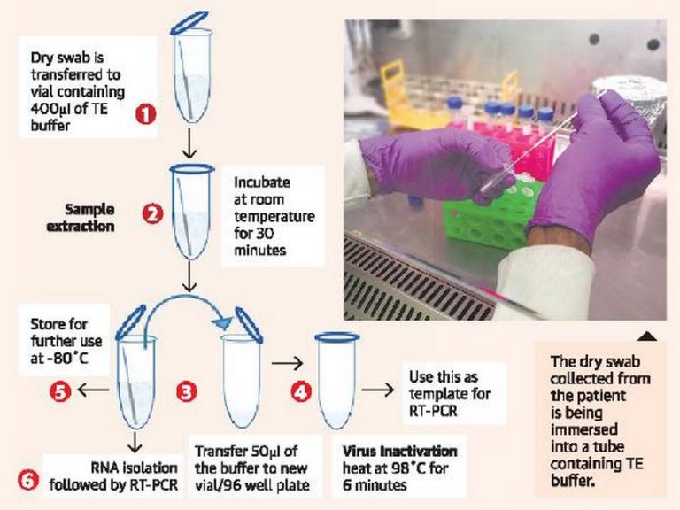 CCMB FINDS CHEAPER, MORE EFFECTIVE RT-PCR METHOD | Legacy IAS Academy