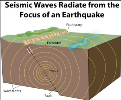 Machine generated alternative text:
Seismic Waves Radiate from the 
Focus of an Earthquake 
Fault scarp 
Epicenter 
Focus 
Legacy IAS