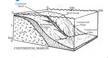 CONTlNENTAL MARGIN 