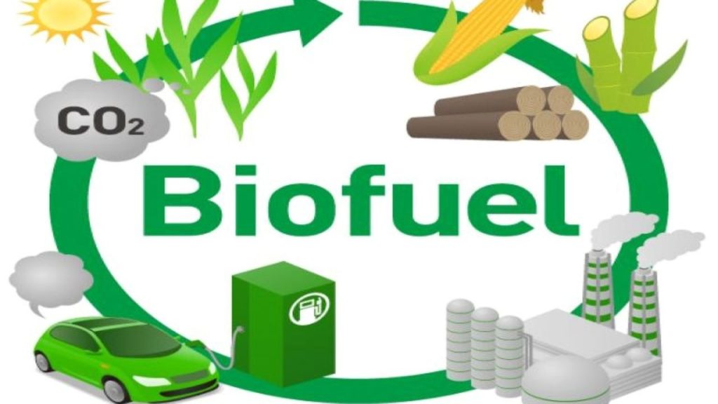 8 Top Sources of Biofuel