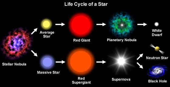 Life Cycle Of a Star 
Average 
Star 
Stellar Nebula 
Red Giant 
Massive Star 
Supergiant 
Planetary Nebula 
Supernova 
Neutron Star 
Black Hole 