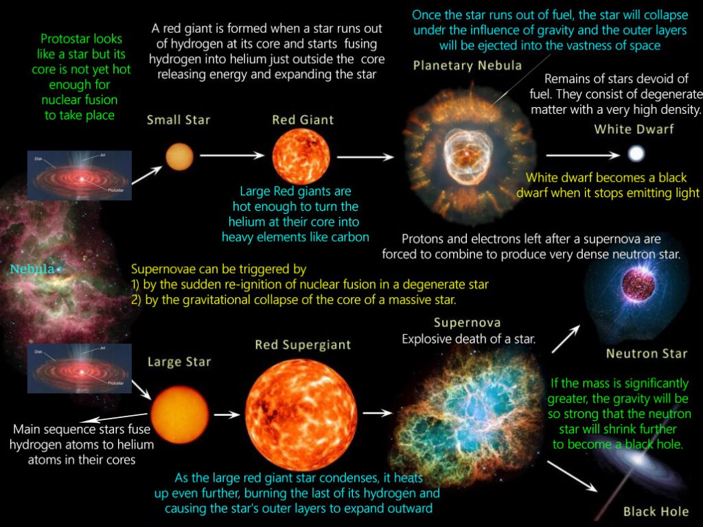 Protostar looks 
like a star but its 
core is not yet hot 
enough for 
nuclear fusion 
to take place 
Neb 
A red giant is formed when a star runs out 
of hydrogen at its core and starts fusing 
hydrogen into helium just outside the core 
releasing energy and expanding the star 
Small Star 
Red Giant 
Large Red giants are 
hot enough to turn the 
helium at their core into 
heavy elements like carbon 
Once the star runs out of fuel, the star will collapse 
undér the influence of gravity and the outer layers 
will be ejected into the vastness of space 
Planetary Nebula 
Remains of stars devoid of 
fuel. They consist of degenerate 
matter with a very high density. 
White Dwarf 
White dwarf becomes a black 
S.,gwarf when it stops emitting light 
Protons and electrons left after a supernova are 
forced to combine to produce very dense neutron star. 
Supernovae can be triggered by 
1) by the sudden re-ignition of nuclear fusion in a degenerate star 
2) by the gravitational collapse of the core of a massive star. 
Supernova 
Explosive death of a star. 
Red Supergiant 
Large Star 
Main sequence stars fuse 
hydrogen atoms to helium 
atoms in their cores 
As the large red giant star condenses, it he 
up even further, burning the last of its hydrogen and 
causing the star's outer layers to expand outward 
Neutron Star 
If the mass is significantly 
greater, the gravity will be 
so strong that the neutron 
star will shrink fu er 
to beco 
la hole. 
Black Hole 