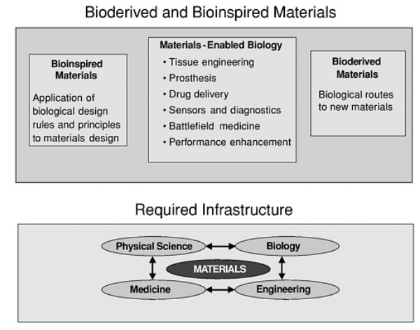 Bioderived and Bioinspired Materials 
Bioinspired 
Materials 
Application of 
biological design 
rules and principles 
to materials design 
Materials -Enabled Biology 
• Tissue engineering 
• Prosthesis 
• Drug delivery 
• Sensors and diagnostics 
• Battlefield medicine 
• Performance enhancement 
Required Infrastructure 
Bioderived 
'&terials 
Biological routes 
to new materials 
Physical Science 
Biology 
MATERIALS 
Engireering 