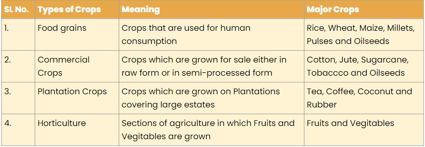 SL NO. 
2. 
3. 
4. 
Types of Crops 
Food grains 
Commercial 
Crops 
Plantation Crops 
Horticulture 
Meaning 
Crops that are used for human 
consumption 
Crops which are grown for sale either in 
raw form or in semi-processed form 
Crops which are grown on Plantations 
covering large estates 
Sections of agriculture in which Fruits and 
Vegitables are grown 
Major Crops 
Rice, Wheat, Maize, Millets, 
Pulses and Oilseeds 
Cotton, Jute, Sugarcane, 
Tobaccco and Oilseeds 
Tea, Coffee, Coconut and 
Rubber 
Fruits and Vegitables 