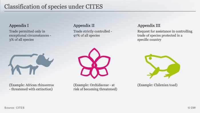 cites - INSIGHTSIAS