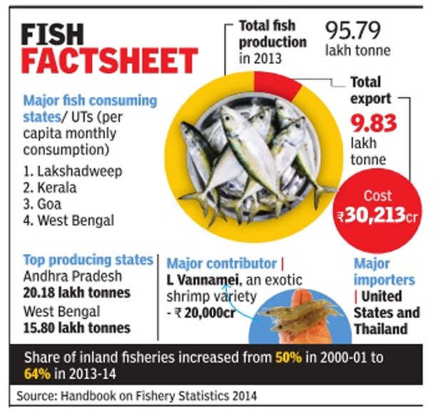 FISH 
FACTSHEET 
production 
in 2013 
Major fish consuming 
states/ UTS (per 
capita monthly 
consumption) 
I. Lakshadweep 
2. Kerala 
3. Goa 
4. West Bengal 
Top producing states 
Andhra Pradesh 
20.18 lakh tonnes 
West Bengal 
15.80 lakh tonnes 
Major contributor I 
L Vannamei, an exotic 
shrimp v iety 
95.79 
lakh tonne 
Total 
9.83 
lakh 
tonne 
Cost 
80,213cr 
Major 
importers 
I United 
States and 
Thailand 
Share of inland fisheries increased from 50% in 2000-01 to 
64% in 2013-14 
Source: Handbook on Fishery Statistics 2014 