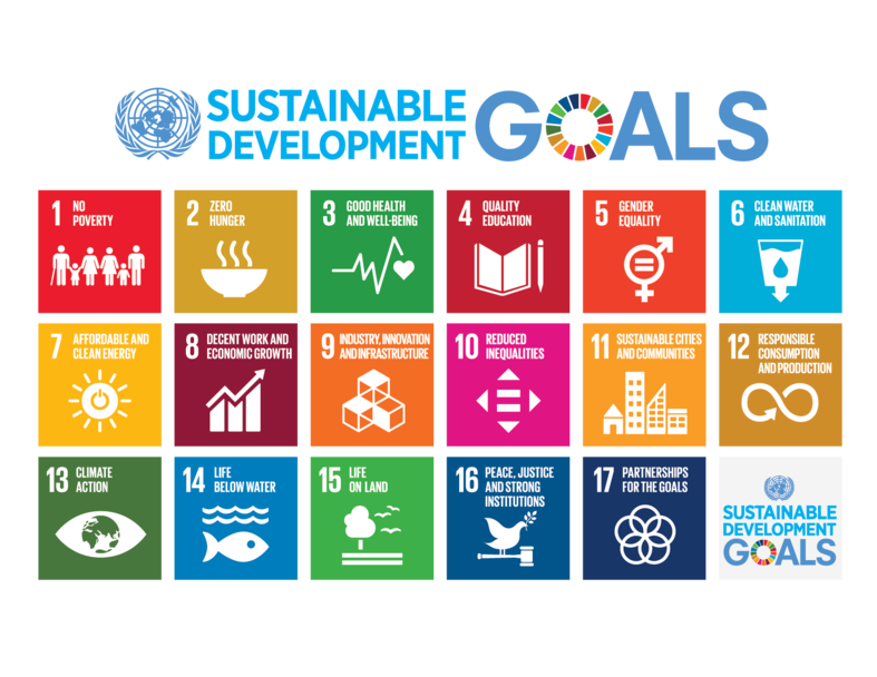 SDGs: Nigeria ranked lowest in terms of commitment to fighting inequality -