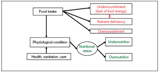 Part I]: 1 METRICS FOR FOOD INSECURITY AND MALNUTRITION | A Sustainability  Challenge: Food Security for All: Report of Two Workshops | The National  Academies Press