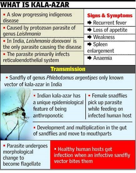 WHAT IS KALA-AZAR 
• A slow progressing indigenous 
disease 
Caused by protozoan parasite of 
genus Leishmania 
• In India, Leishmania donovani is 
Signs & Symptoms 
Recurrent fever 
Loss of appetite 
Weakness 
Spleen 
the only parasite causing the disease 
enlargement 
• The parasite primarily infects 
Anaemia 
reticuloendothelial system 
Transmission 
• Sandfly of genus Phlebotomus argentipes only known 
vector of kala-azar in India 
• Indian kala-azar has • Female snadflies 
a unique epidemiological pick up parasite 
feature of being 
anthroponotic 
while feeding on 
infected human host 
• Development and multiplication in the gut 
of sandflies and move to mouthparts 
Parasite undergoes 
morphological 
change to 
become flagellate 
• Healthy human hosts get 
infection when an infective sandfly 
vector bites them 