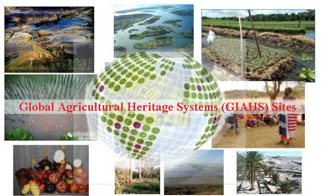 A Complete list of Global Agricultural Heritage Systems (GIAHS) Sites in  India