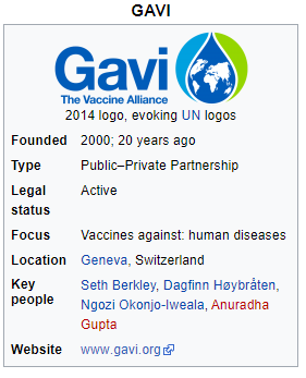 GAVI 
2014 logo, evoking LIN logos 
Founded 
Type 
Legal 
status 
Focus 
Location 
Key 
people 
Website 
2000; 20 years ago 
Public—private Partnership 
Active 
Vaccines against: human diseases 
Geneva, Switzerland 
Seth Berkley, Oagfinn Høybråten, 
Ngozi Okonjo-lweala, Anuradha 
Gupta 
www gaviarg 