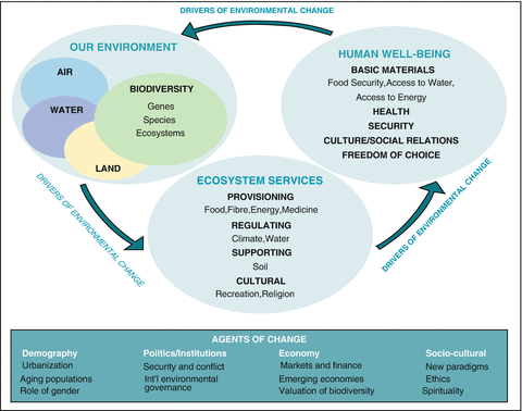 Himalayan Biodiversity: Trans-boundary Conservation Institution and  Governance | SpringerLink