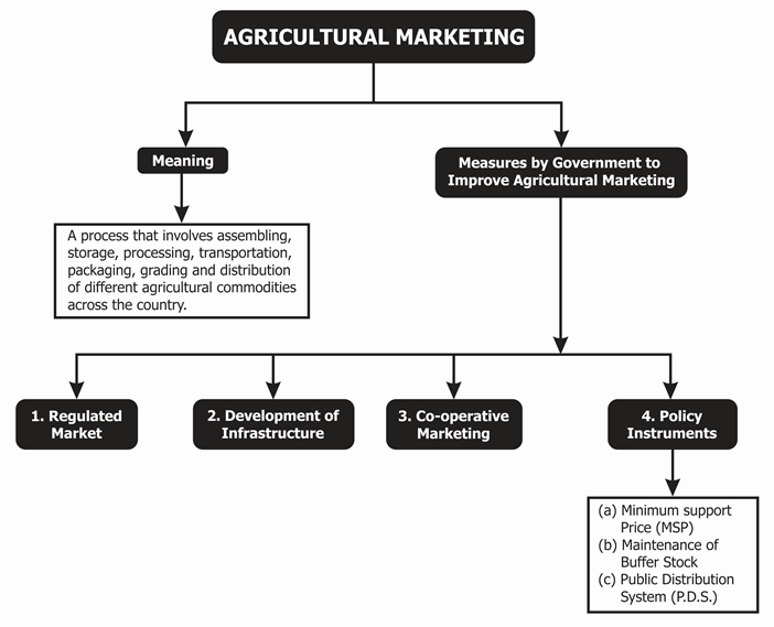 Agricultural Marketing- Measures taken by Government