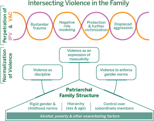 Towards a feminist understanding of intersecting violence against women and  children in the family - ScienceDirect