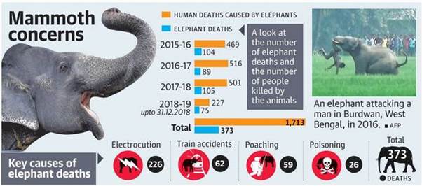 Human Elephant Conflict Current Affairs Insight