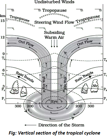 300 
200 
—m Tropopause —m 
Steering Wind Flow 
Subsiding 
Warm Air 
Direction of the Storm 
Fig: Vertical section of the tropical cyclone 