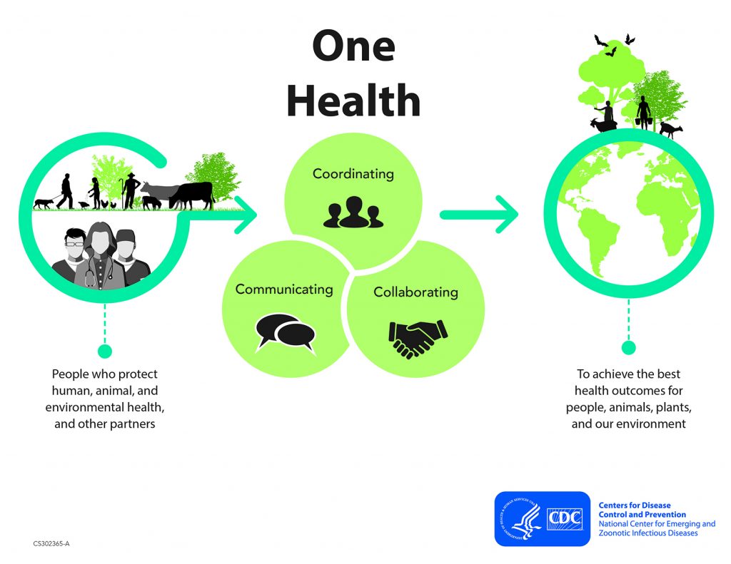 One Health Basics | One Health | CDC