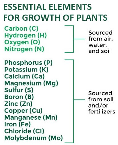 ESSENTIAL ELEMENTS 
FOR GROWTH OF PLANTS 
Carbon (C) 
Hydrogen (H) 
Oxygen (O) 
Nitrogen (N) 
Phosphorus (P) 
Potassium (K) 
Calcium (Ca) 
Magnesium (Mg) 
Sulfur (S) 
Boron (B) 
Zinc (Zn) 
Copper (Cu) 
Manganese (Mn) 
Iron (Fe) 
Chloride (Cl) 
Molybdenum (MO) 
Sourced 
from air, 
water, 
and soil 
Sourced 
from soil 
and/or 
fertilizers 