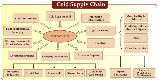 Cold supply chain