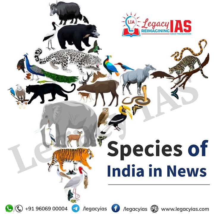 Species Of India In News