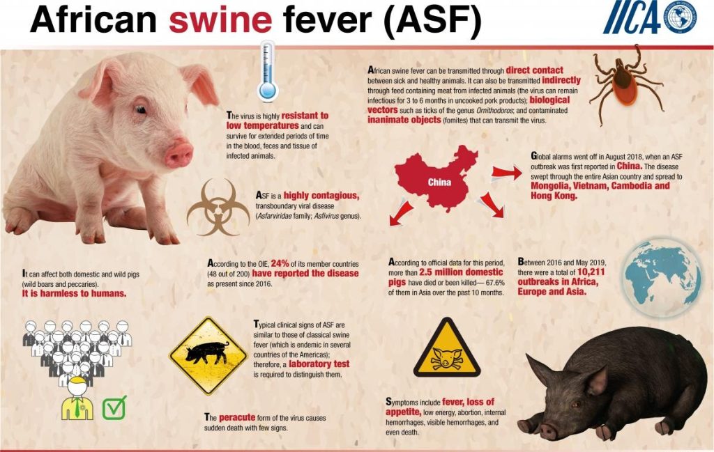 African Swine Fever