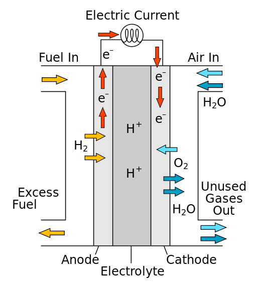 Hydrogen Fuel Cell