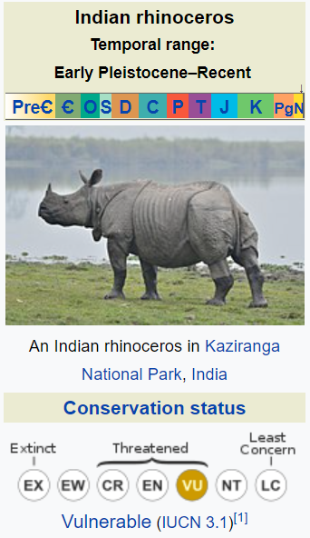 About Indian Rhinoceros