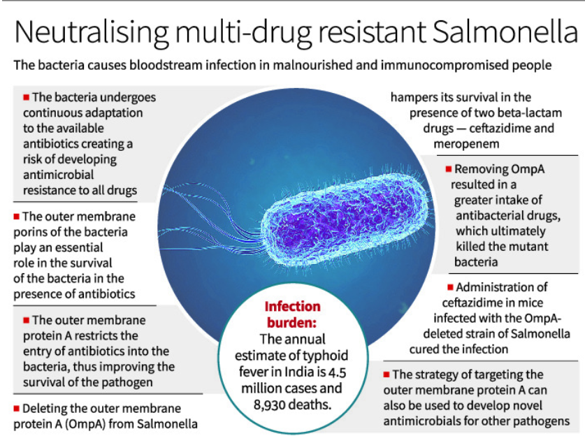 What is Anti-Microbial Resistance?